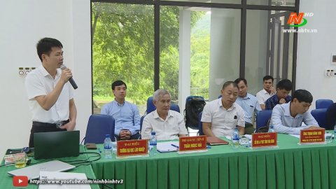 Đánh giá chu&ocirc;̃i giá trị của c&acirc;y xạ đen