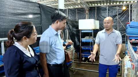 Nu&ocirc;i lươn kh&ocirc;ng b&ugrave;n cho hiệu quả kinh tế cao