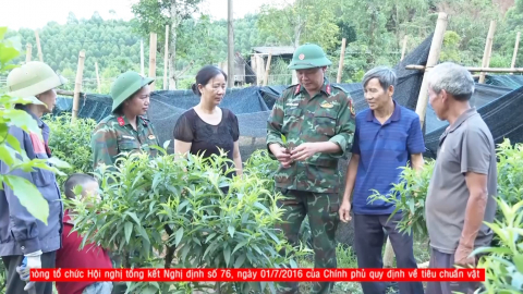 Truyền h&igrave;nh qu&acirc;n khu 3 - 06/12/2025