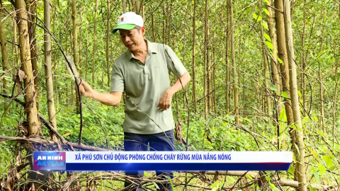 X&atilde; Ph&uacute; Sơn chủ động ph&ograve;ng chống ch&aacute;y rừng m&ugrave;a nắng n&oacute;ng