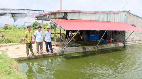  N&ocirc;ng d&acirc;n Ninh B&igrave;nh lan tỏa tinh thần thi đua &aacute;i quốc