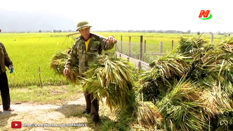 N&ocirc;ng d&acirc;n th&iacute;ch ứng với nắng n&oacute;ng để sản xuất