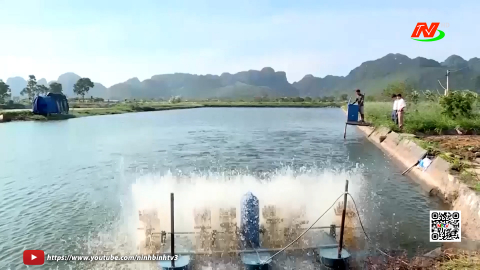 Ch&iacute;nh s&aacute;ch hỗ trợ hợp t&aacute;c x&atilde; ph&aacute;t triển
