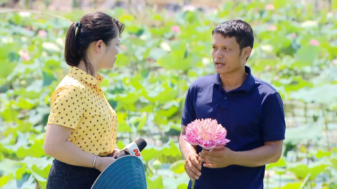 N&ocirc;ng d&acirc;n Ninh B&igrave;nh thi đua ph&aacute;t triển kinh tế