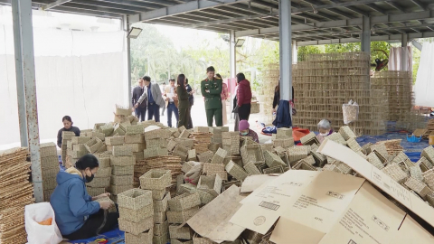 H&ugrave;ng Tiến: Thu nhập b&igrave;nh qu&acirc;n đầu người đạt hơn 74 triệu đồng/năm