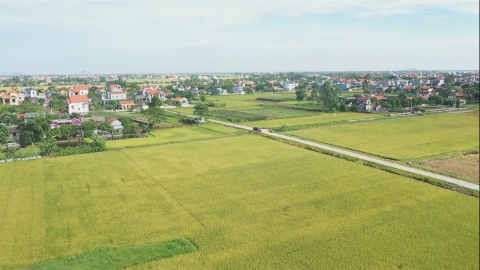 Ninh B&igrave;nh: Gi&aacute; trị sản xuất tr&ecirc;n ha canh t&aacute;c đạt tr&ecirc;n 160 triệu đồng
