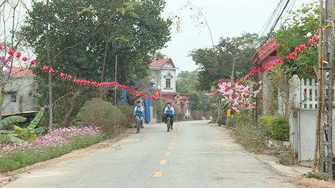 Xu&acirc;n mới tr&ecirc;n qu&ecirc; hương Gia Hưng
