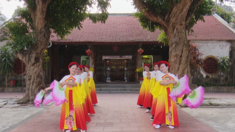 Chiếu ch&egrave;o ng&agrave;y xu&acirc;n