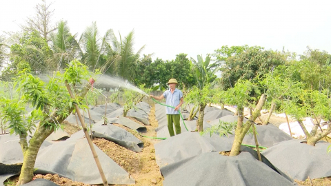 Cựu chiến binh năng động trong ph&aacute;t triển kinh tế gia đ&igrave;nh