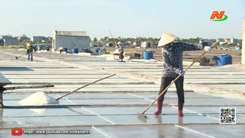 Kh&aacute;t vọng tr&ecirc;n những đồng muối