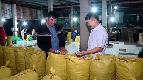 Mặn m&ograve;i vị biển