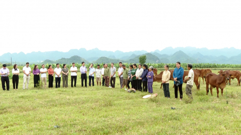 Tạo điều kiện để người d&acirc;n ph&aacute;t triển kinh tế, bảo vệ m&ocirc;i trường