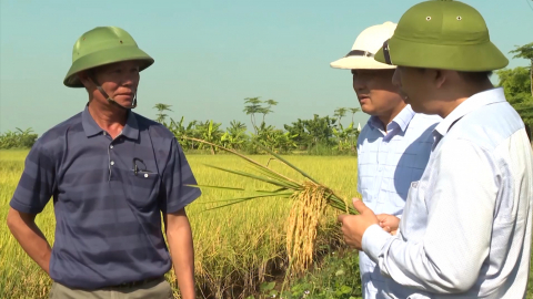 Bệnh gan thận mủ ở c&aacute; nu&ocirc;i v&agrave; m&ocirc; h&igrave;nh n&ocirc;ng nghiệp hữu cơ