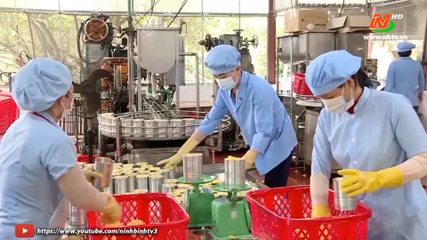 Thời sự Trưa NinhBinhTV - 30/07/2024
