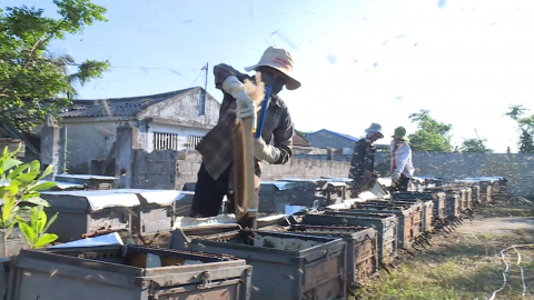 X&acirc;y dựng thương hiệu OCOP 4 sao cho sản phẩm mật ong s&uacute; vẹt 