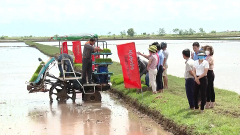 Y&ecirc;n M&ocirc; phấn đấu vụ Đ&ocirc;ng Xu&acirc;n năm 2024 gieo trồng tr&ecirc;n 7.000 ha