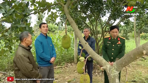 Cựu chiến binh huyện Gia Viễn ph&aacute;t huy hiệu quả c&aacute;c m&ocirc; h&igrave;nh kinh tế