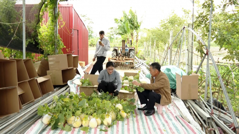 N&ocirc;ng d&acirc;n Ninh B&igrave;nh thi đua l&agrave;m theo lời B&aacute;c