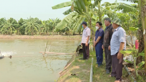 Y&ecirc;n Kh&aacute;nh ch&uacute; trọng ph&aacute;t triển chăn nu&ocirc;i theo hướng h&agrave;ng h&oacute;a