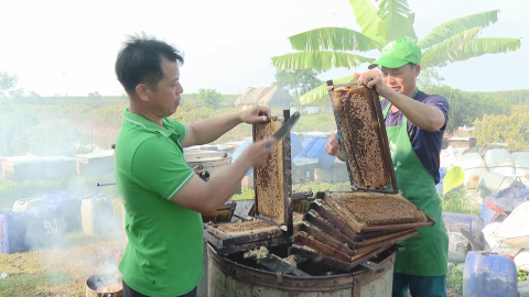 Cần x&acirc;y dựng nh&atilde;n hiệu chứng nhận mật ong s&uacute; vẹt Kim Sơn