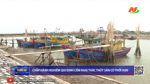 Chấp h&agrave;nh nghi&ecirc;m quy định cấm khai th&aacute;c thủy sản c&oacute; thời hạn