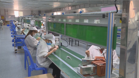 Thời sự Trưa NinhBinhTV - 02/11/2024