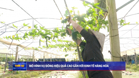 Thời sự Trưa NinhBinhTV - 30/11/2025