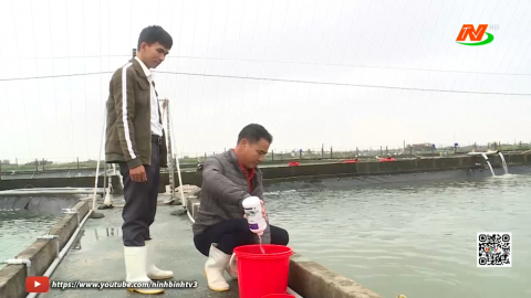 Nh&acirc;n rộng m&ocirc; h&igrave;nh nu&ocirc;i c&aacute; tr&ecirc; đồng