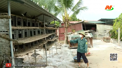 Ph&ograve;ng chống dịch bệnh cho đ&agrave;n vật nu&ocirc;i
