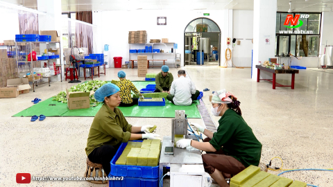 Gia Viễn đẩy mạnh chuyển đổi số trong sản xuất n&ocirc;ng nghiệp