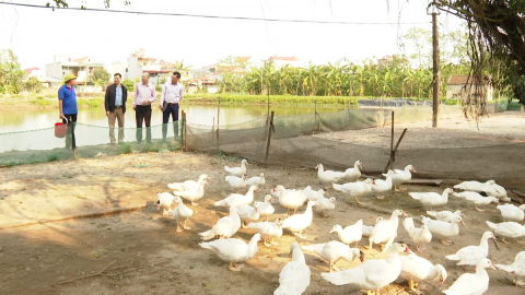L&agrave;m gi&agrave;u từ ngồn vốn t&iacute;n dụng ch&iacute;nh s&aacute;ch