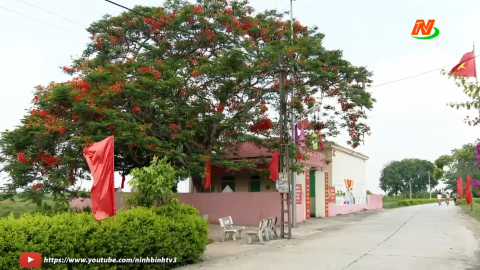 Tạo dựng cảnh quan m&ocirc;i trường trong x&acirc;y dựng x&atilde; NTM n&acirc;ng cao
