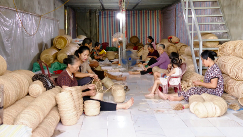 Sợi c&oacute;i Nghĩa L&acirc;m v&agrave; kh&aacute;t vọng &ldquo;khởi nghiệp xanh&rdquo;