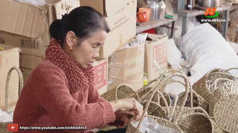 Kim Sơn ph&aacute;t triển nghề c&oacute;i truyền thống