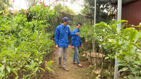 Thanh ni&ecirc;n khởi nghiệp bằng nghề trồng hoa, c&acirc;y cảnh