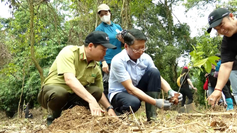 Hồi sinh gen qu&yacute; giữa ng&agrave;n xanh