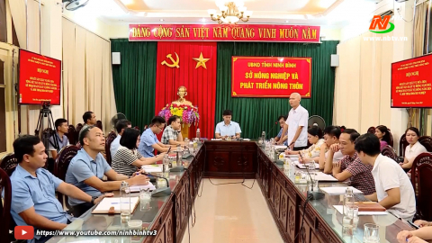 Sở NN&PTNT sơ kết sản xuất vụ m&ugrave;a năm 2024