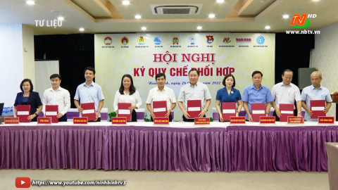 Ninh B&igrave;nh: 90% d&acirc;n số tham gia BHYT