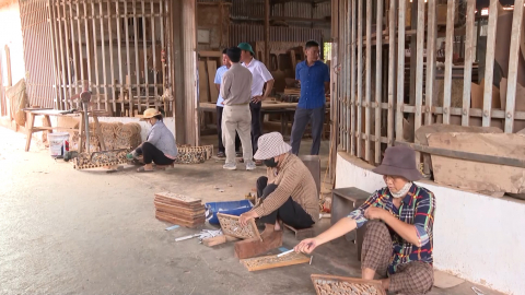 Hải Anh ph&aacute;t triển kinh tế mũi nhọn