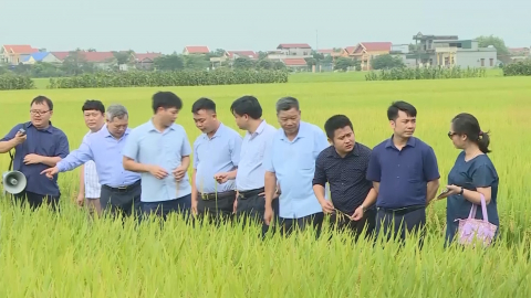 Y&ecirc;n Kh&aacute;nh triển khai kế hoạch sản xuất vụ m&ugrave;a năm 2023