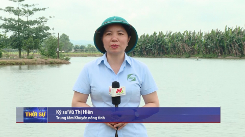 Hướng dẫn chăm s&oacute;c thủy sản nước ngọt khi giao m&ugrave;a