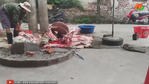 Mất an to&agrave;n thực phẩm, vệ sinh m&ocirc;i trường từ giết mổ trong khu d&acirc;n cư 