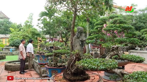 L&agrave;m gi&agrave;u từ m&ocirc; h&igrave;nh trồng c&acirc;y cảnh ở Gia Tường