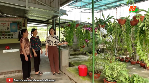 Hội phụ nữ Y&ecirc;n Kh&aacute;nh gi&uacute;p đỡ hội vi&ecirc;n ph&aacute;t triển kinh tế