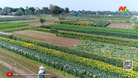 Đổi mới c&aacute;ch l&agrave;m tạo bước đột ph&aacute; trong ph&aacute;t triển kinh tế ở Ph&ugrave; V&acirc;n
