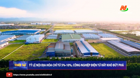 Thời sự Trưa NinhBinhTV - 14/10/2024