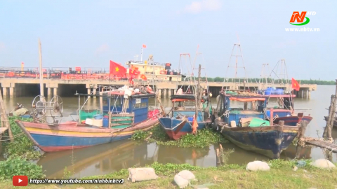 Ninh B&igrave;nh chủ động ứng ph&oacute; với b&atilde;o số 3