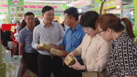 Ninh B&igrave;nh c&oacute; 70% hợp t&aacute;c x&atilde; hoạt động hiệu quả