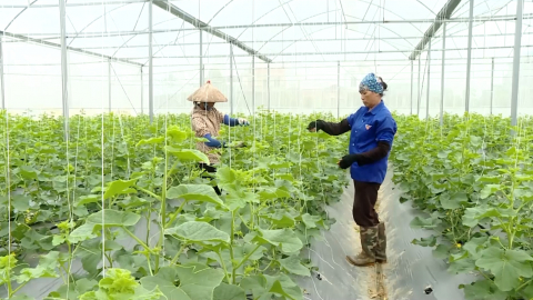 Đưa n&ocirc;ng sản Ninh B&igrave;nh v&agrave;o c&aacute;c hệ thống ph&acirc;n phối hiện đại