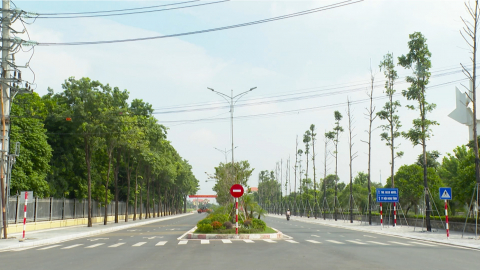 Thực trạng v&agrave; nhu cầu ph&aacute;t triển c&acirc;y xanh đ&ocirc; thị